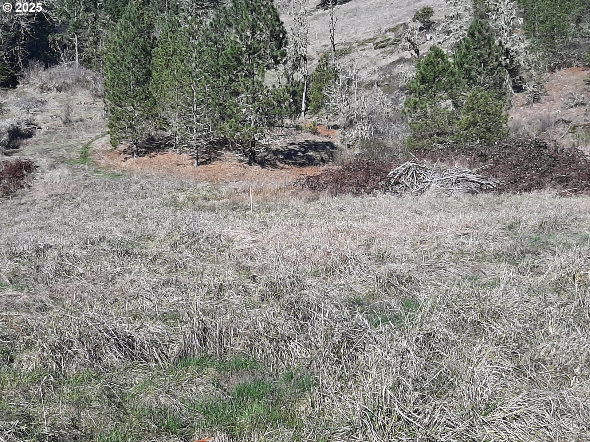 Dorena, Oregon 97434, United States, ,Land,Active,23649