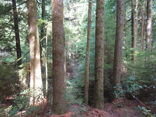 ADDRESS PRIVATE, SOUTH BEND, WA 98586 - Image ea154d3a592f671a932927bc484270df/1114643485