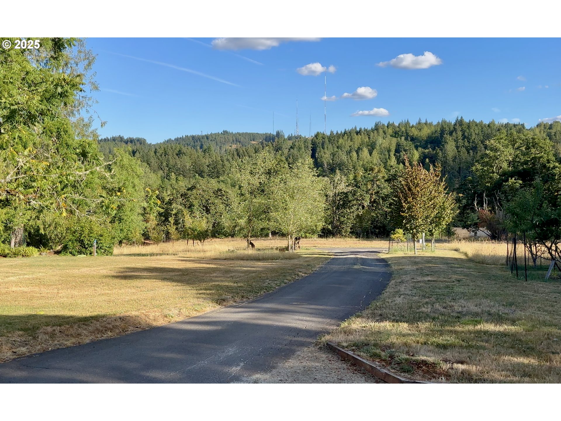 2203 LORANE HWY