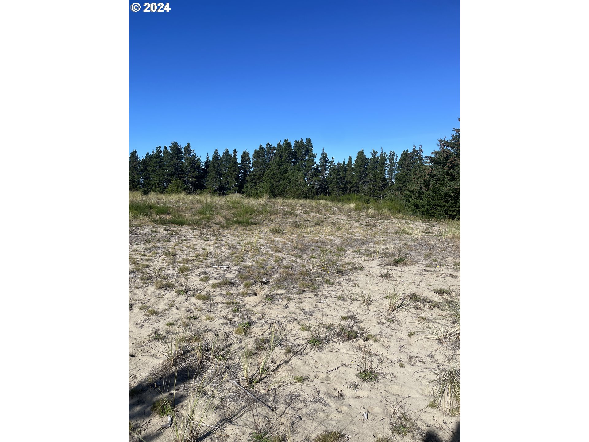 Manzanita, Oregon 97130, United States, ,Land,Active,123797