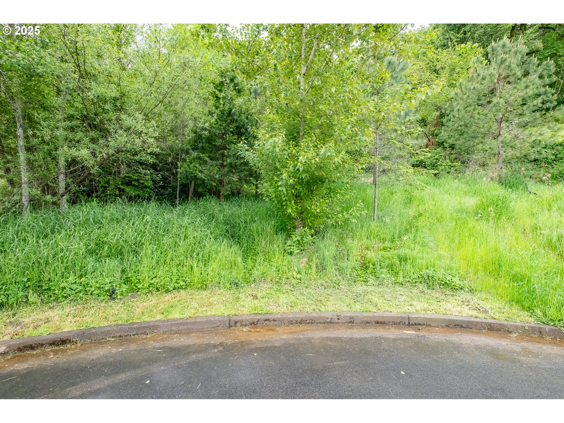 Salem, Oregon 97304, United States, ,Land,Active,102398