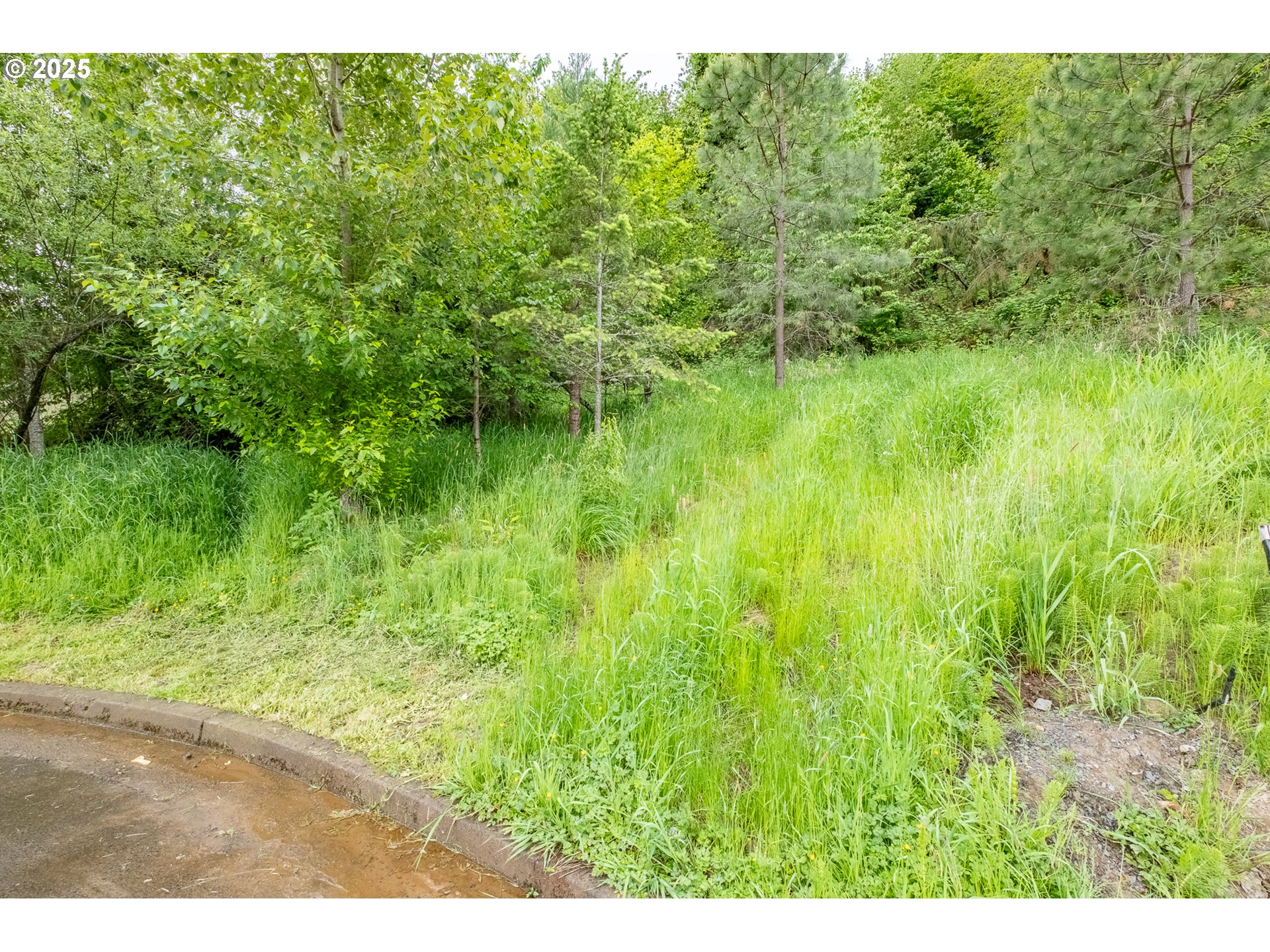 Salem, Oregon 97304, United States, ,Land,Active,102398