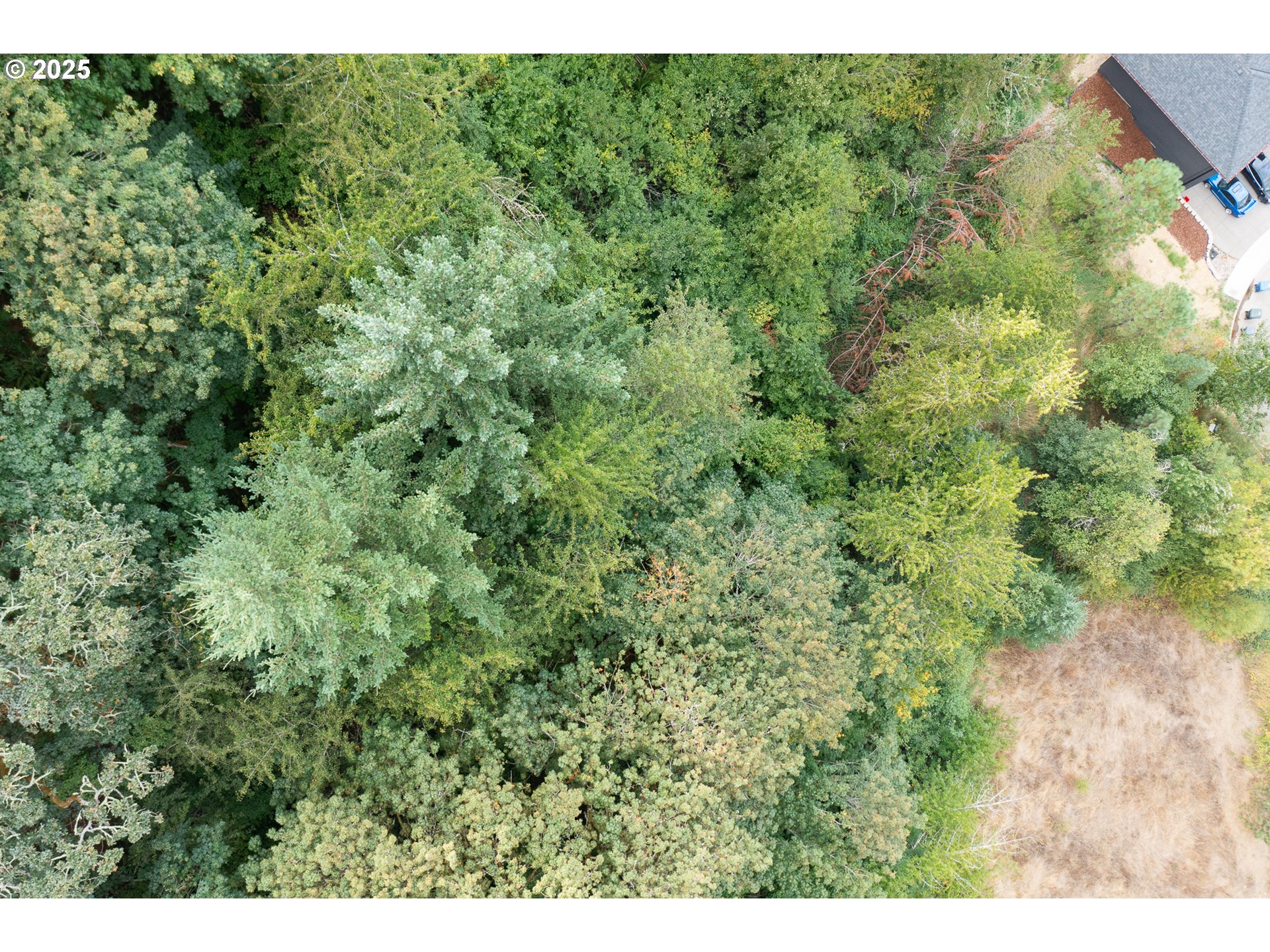 Salem, Oregon 97304, United States, ,Land,Active,102398