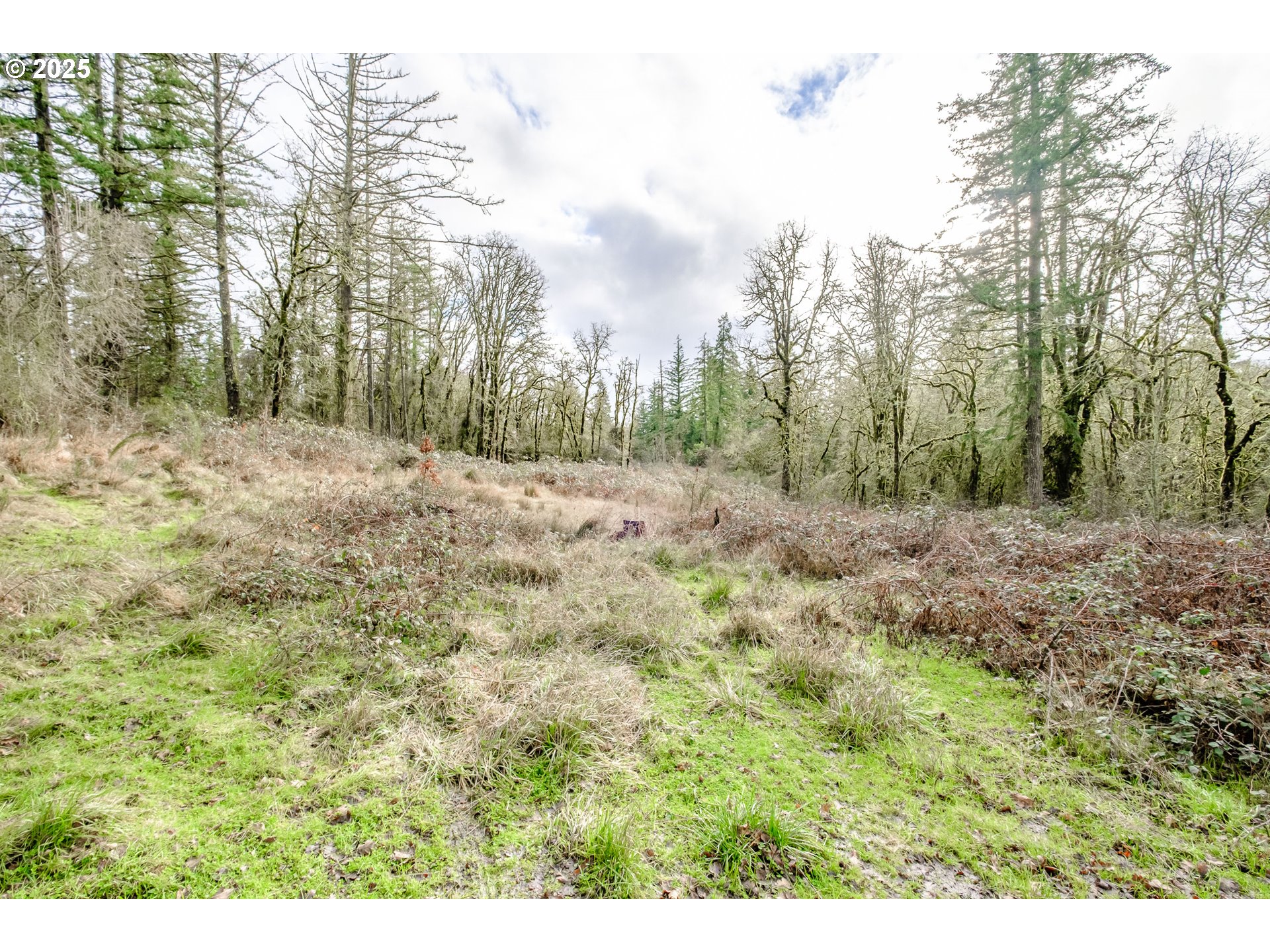 Salem, Oregon 97304, United States, ,Land,Active,102398