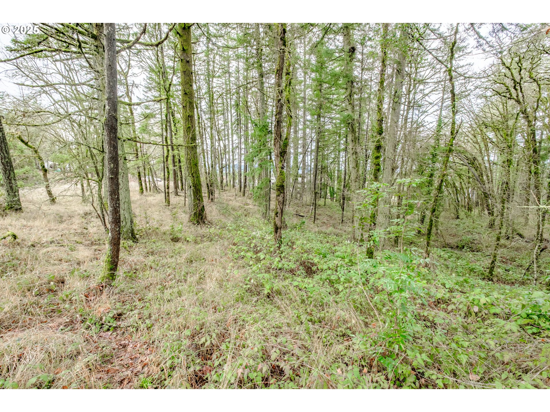 Salem, Oregon 97304, United States, ,Land,Active,102398