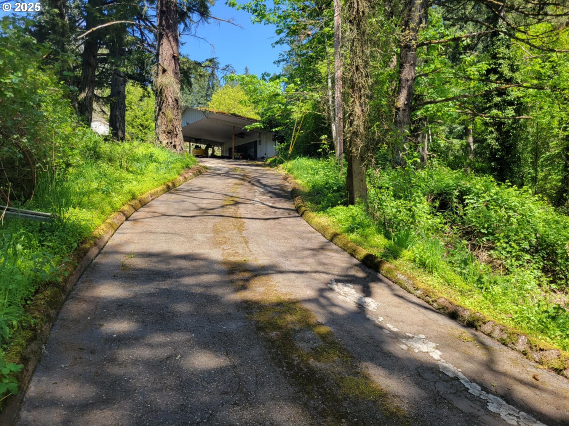 4295 SW HOMESTEADER RD