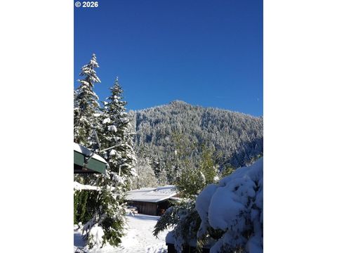 Tiny photo for 80181 Lost Creek Rd, Dexter, OR 97431 (MLS # 621264321)