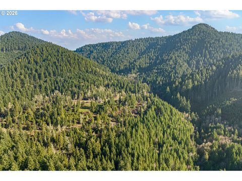 Tiny photo for 80181 Lost Creek Rd, Dexter, OR 97431 (MLS # 621264321)
