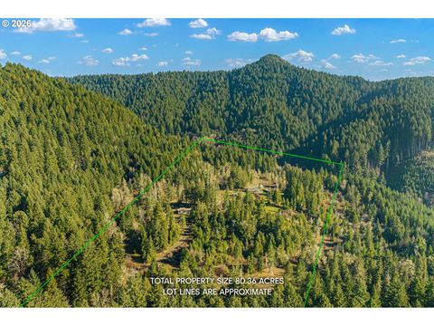 Tiny photo for 80181 Lost Creek Rd, Dexter, OR 97431 (MLS # 621264321)