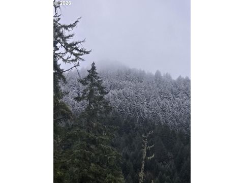 Tiny photo for 80181 Lost Creek Rd, Dexter, OR 97431 (MLS # 621264321)