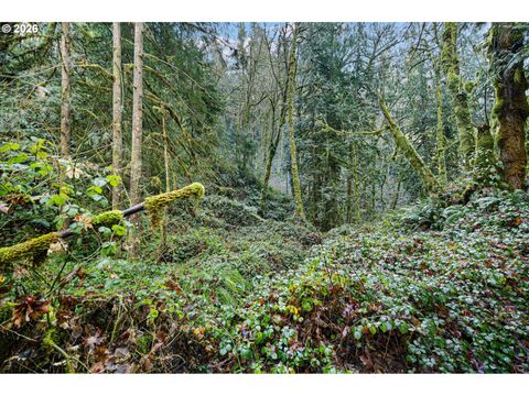 Tiny photo for 80181 Lost Creek Rd, Dexter, OR 97431 (MLS # 621264321)