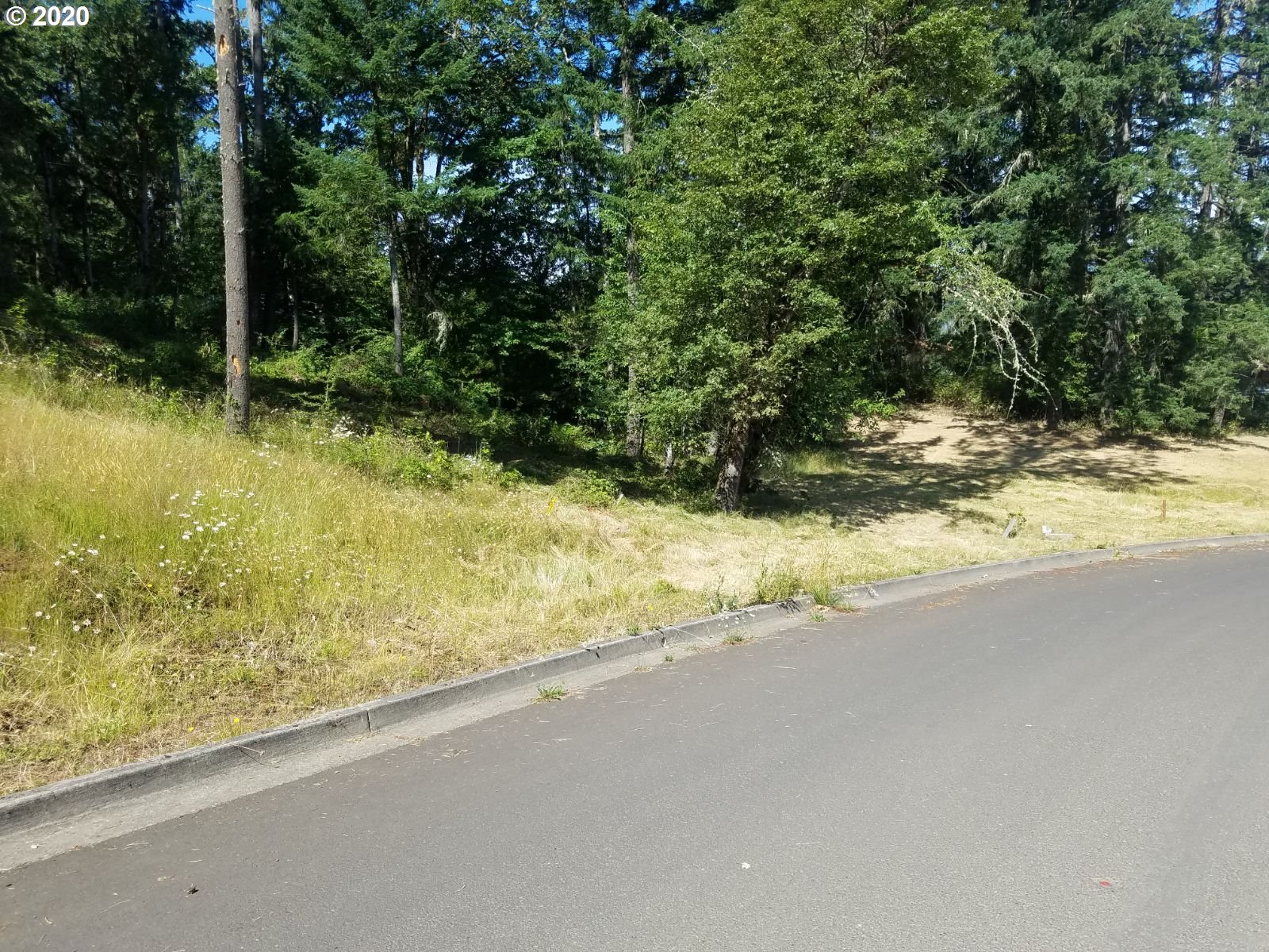 MOUNTAIN VIEW DR