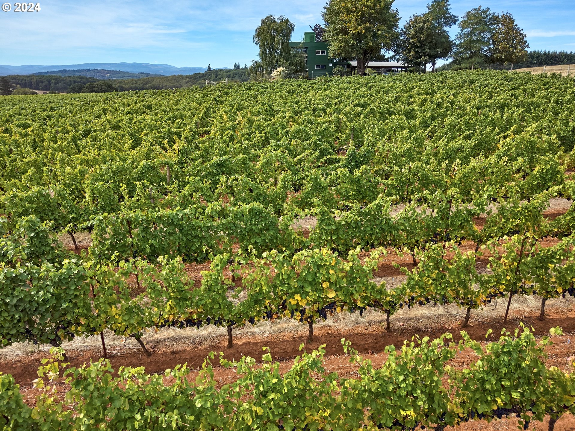 Rickreall, Oregon 97371, United States, 2 Bedrooms Bedrooms, ,3 BathroomsBathrooms,Residential,Active,41816