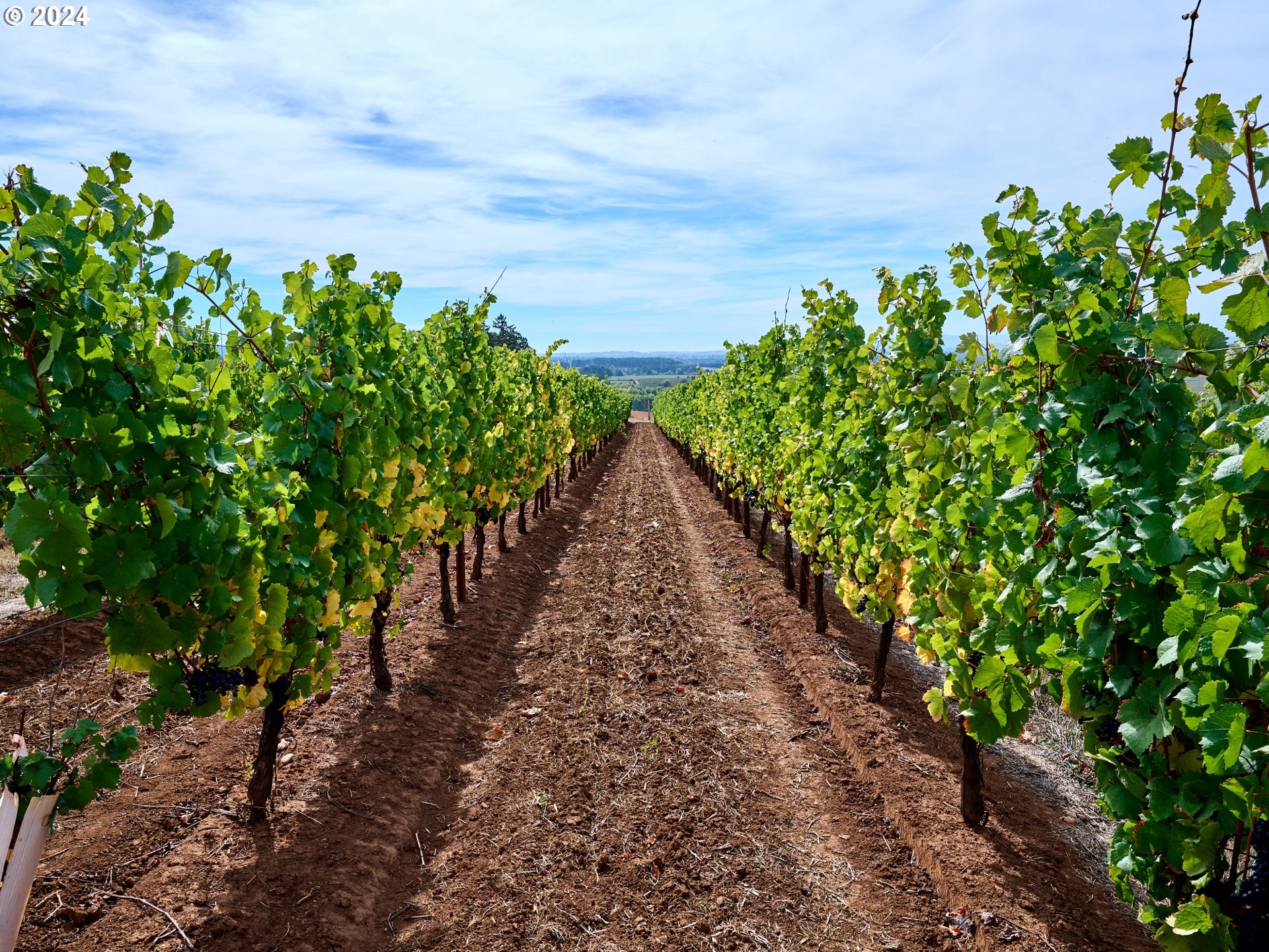 Rickreall, Oregon 97371, United States, 2 Bedrooms Bedrooms, ,3 BathroomsBathrooms,Residential,Active,41816