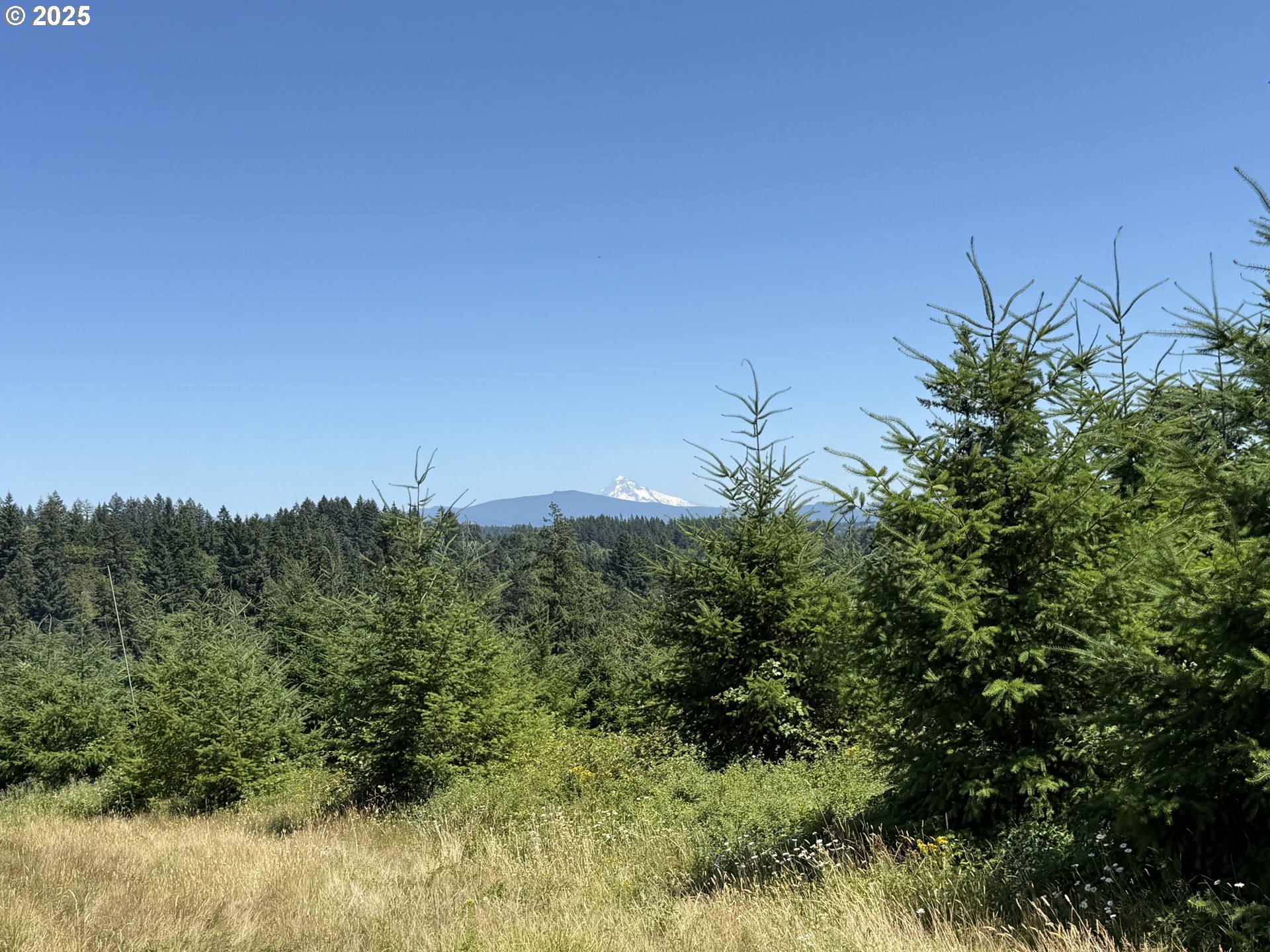 Photo 1 of 7 — 0 NE 277th AVE, Washougal, WA 98671