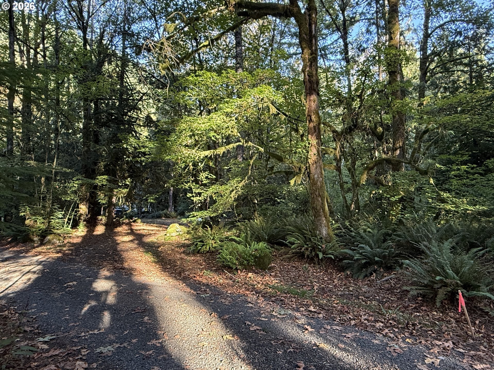 65365 E BARLOW TRAIL RD