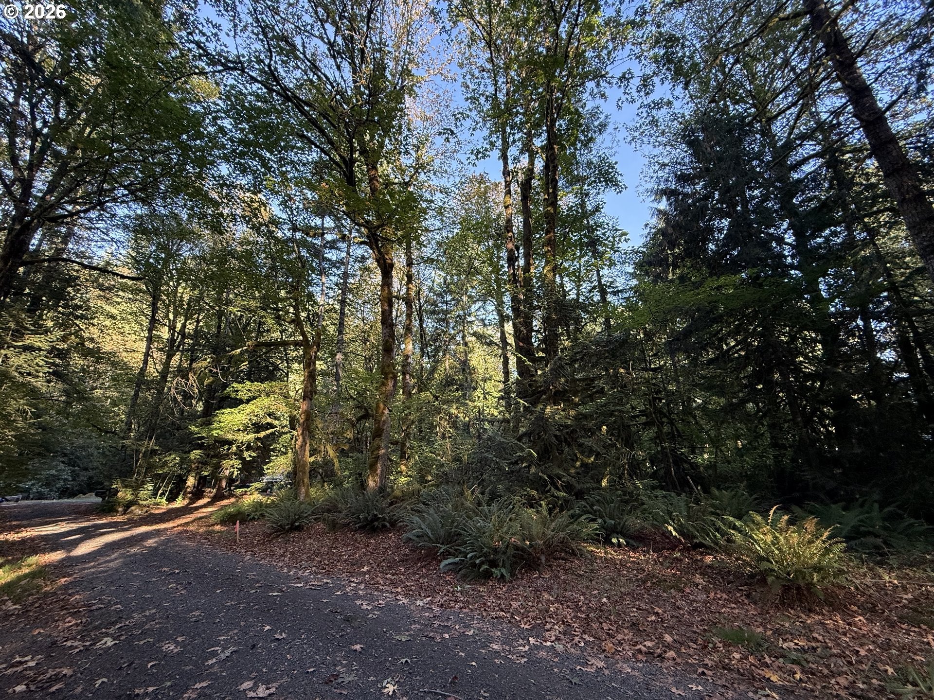 65365 E BARLOW TRAIL RD