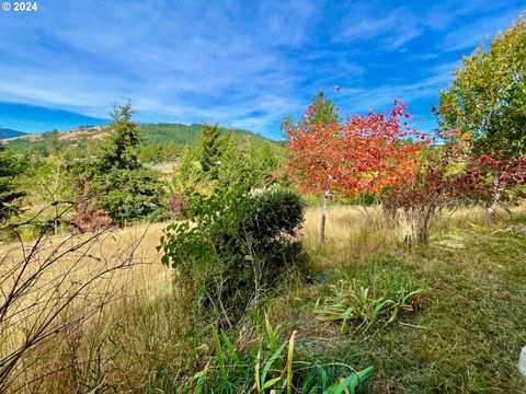 A home in White Salmon