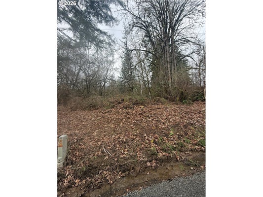 HUTCHINSON RD, RAINIER, OR 97048 - Image f00fd419a0528bdb3cb68cecd01caa95/1209068819