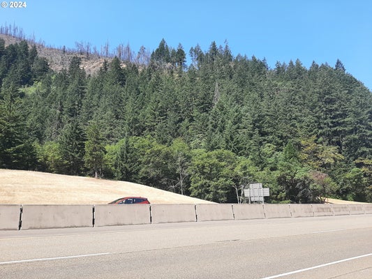 0 CANYONVILLE-RIDDLE RD, CANYONVILLE, OR 97417 - Image f03b90f02ce3e5b4e9d484cd17a18413/490467727