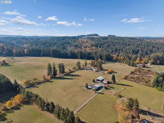 19115 S RIDGE RD, OREGON CITY, OR 97045 - Image f05e6d764c3ffb7620bdc19b76ced500/3256415247