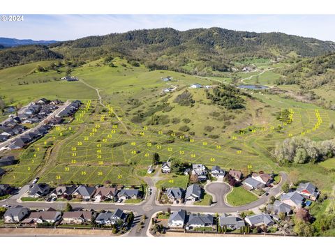 DANIELLE DR Winston OR 97496