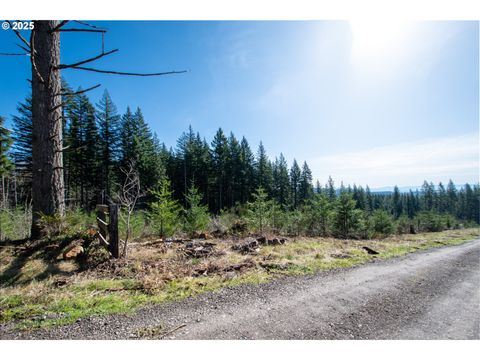 Photo of NE 94th St, Camas, WA 98607 (MLS # 379189725)
