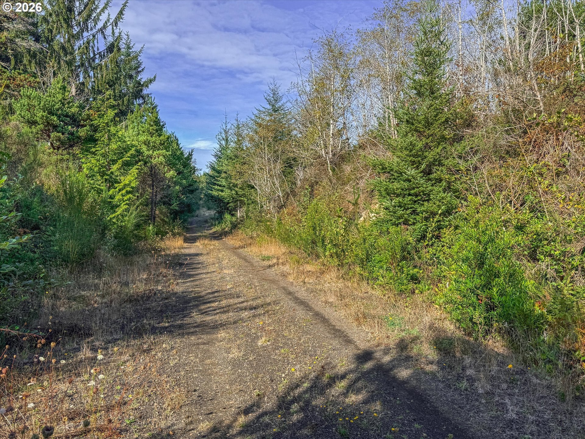 200 Tax Lot - Ray Ridge DR