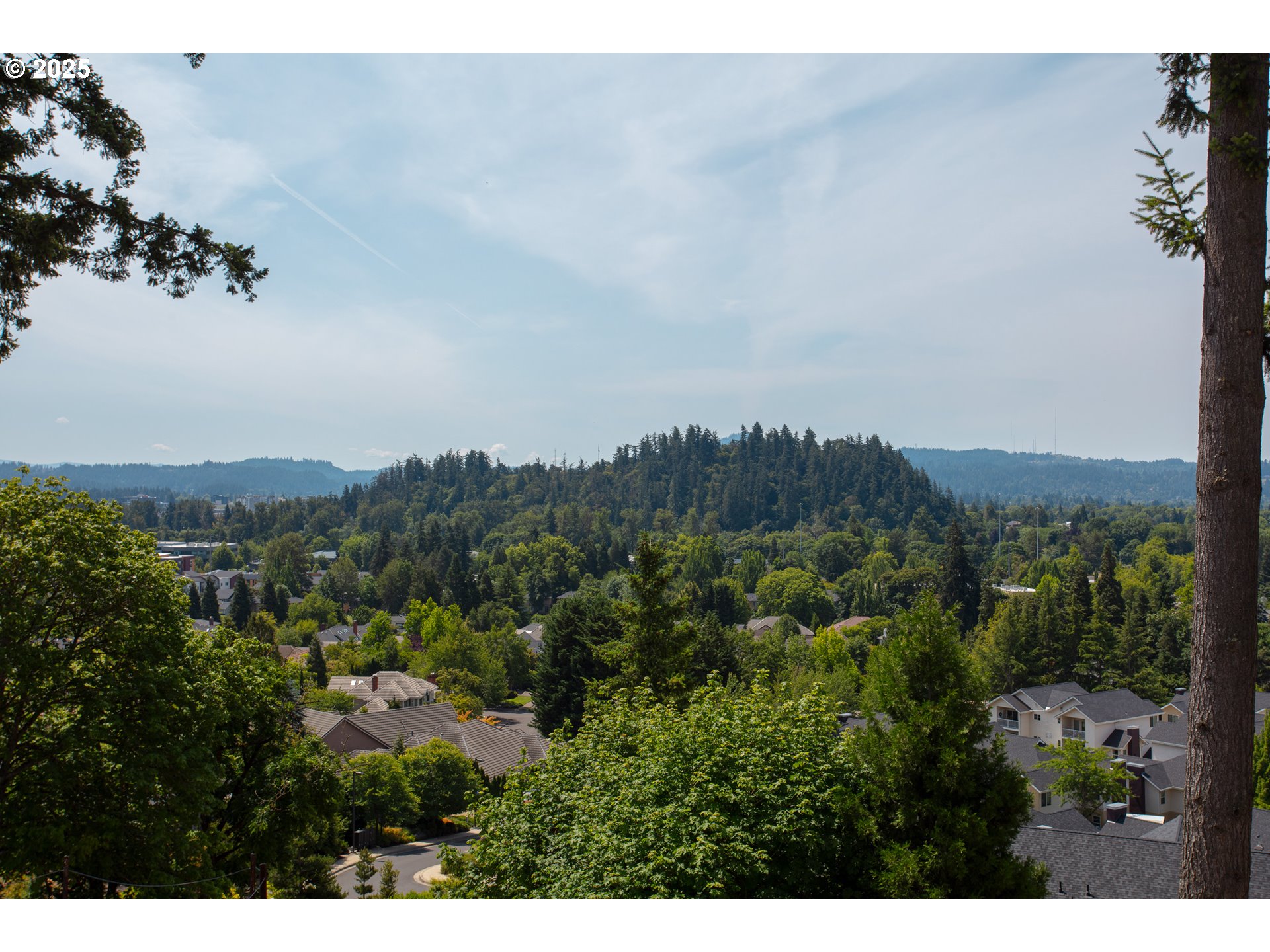 1238 STONE FOREST CT 10