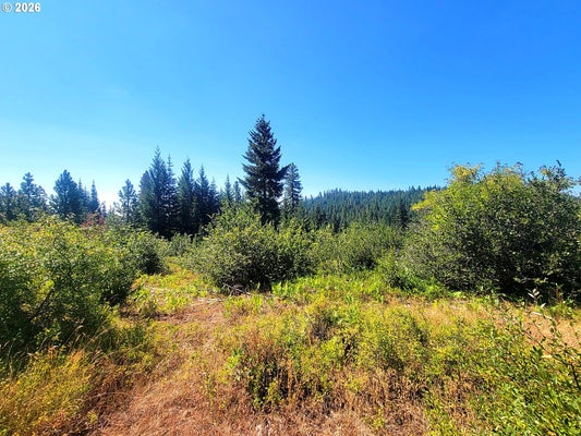 ADDRESS PRIVATE, GOLDENDALE, WA  - Image f1b281cc05ae5f4e03284f6bb6a7f277/4092565491