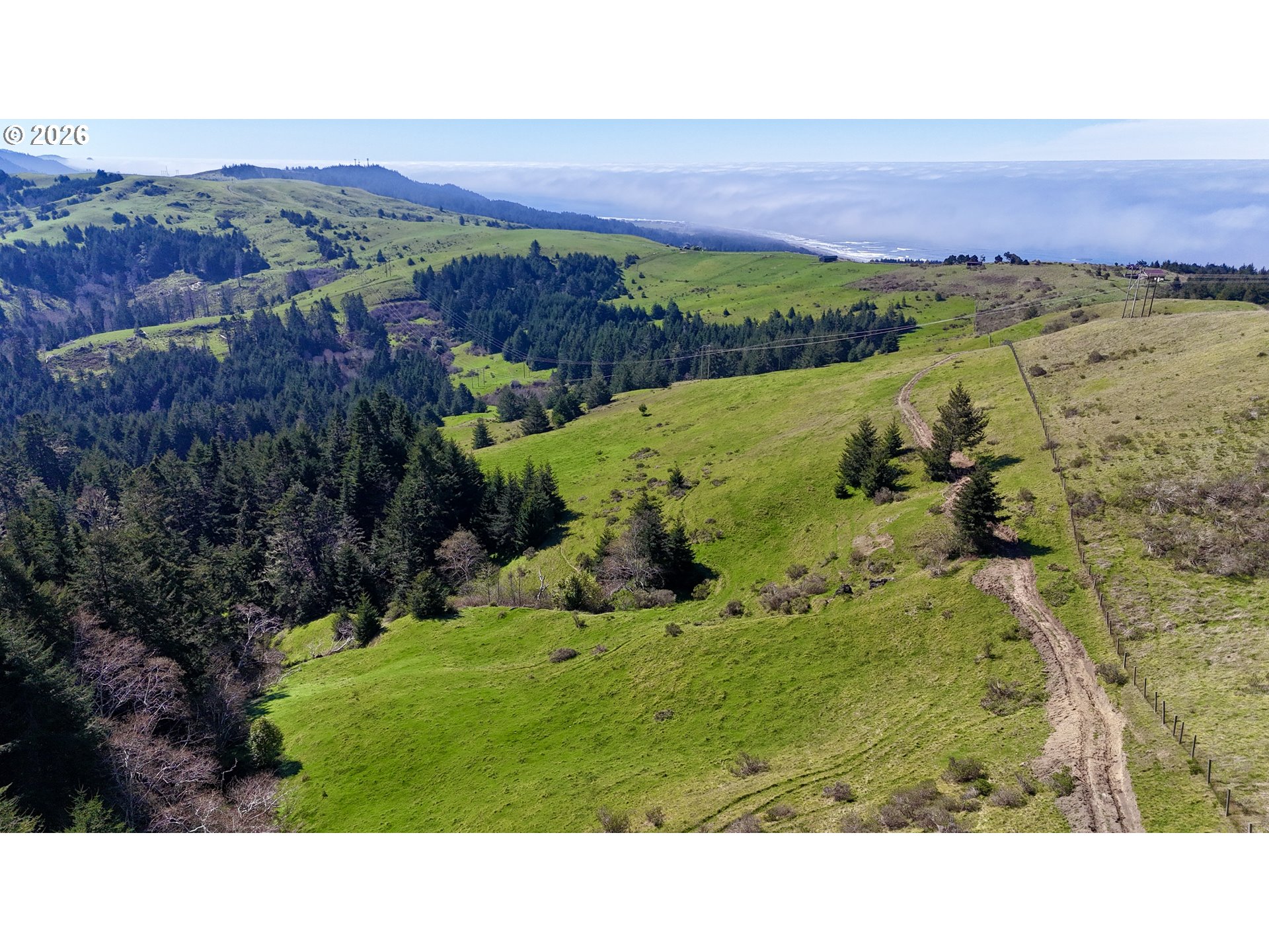 0 N Bank Rogue #2191