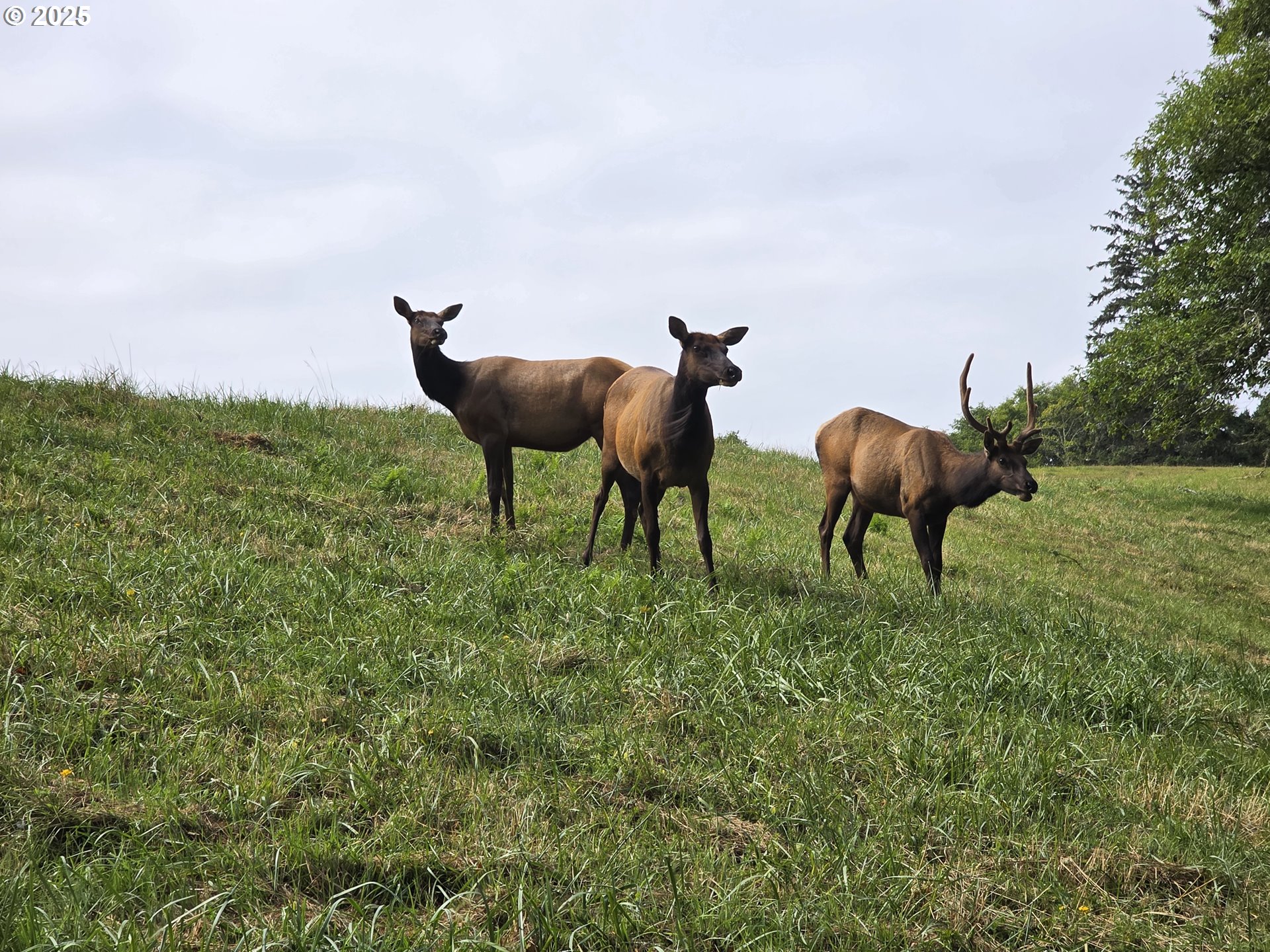 Otis, Oregon 97368, United States, 4 Bedrooms Bedrooms, ,2 BathroomsBathrooms,Residential,Active,178555