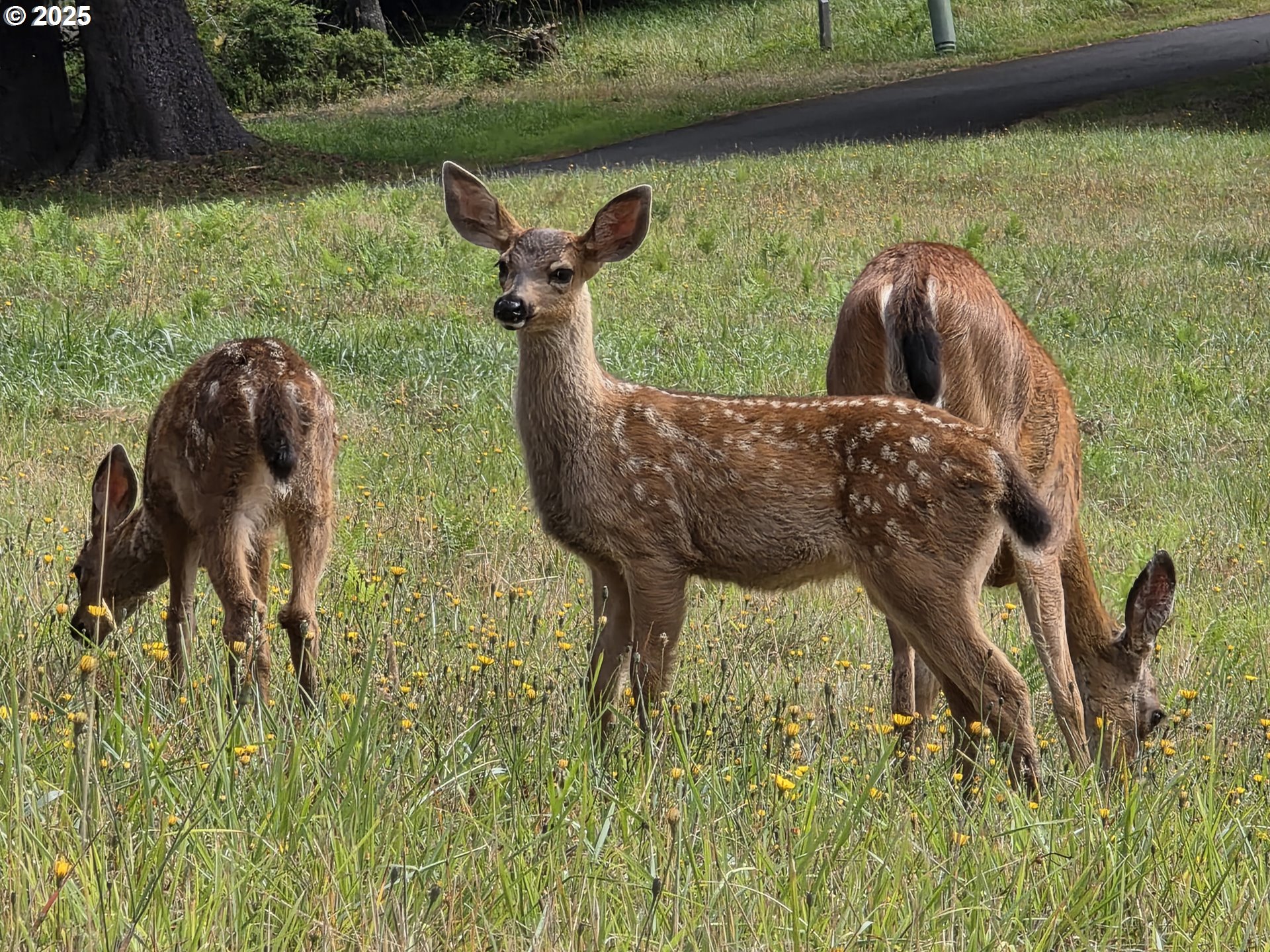 Otis, Oregon 97368, United States, 4 Bedrooms Bedrooms, ,2 BathroomsBathrooms,Residential,Active,178555