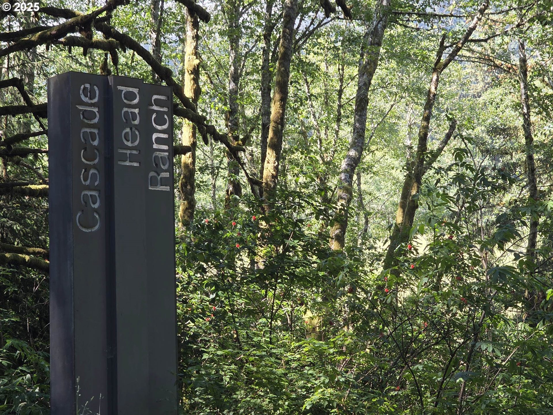 Otis, Oregon 97368, United States, 4 Bedrooms Bedrooms, ,2 BathroomsBathrooms,Residential,Active,178555