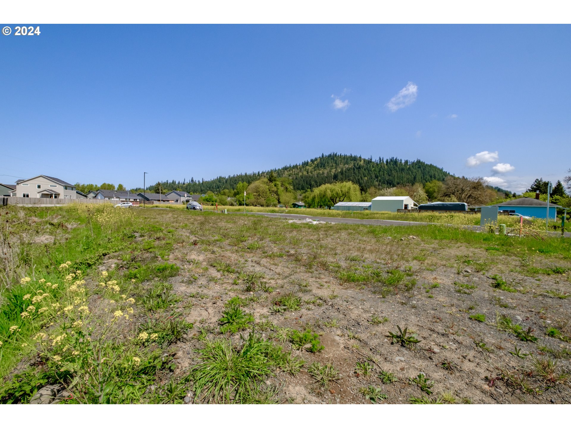 Lebanon, Oregon 97355, United States, ,Land,Active,77616