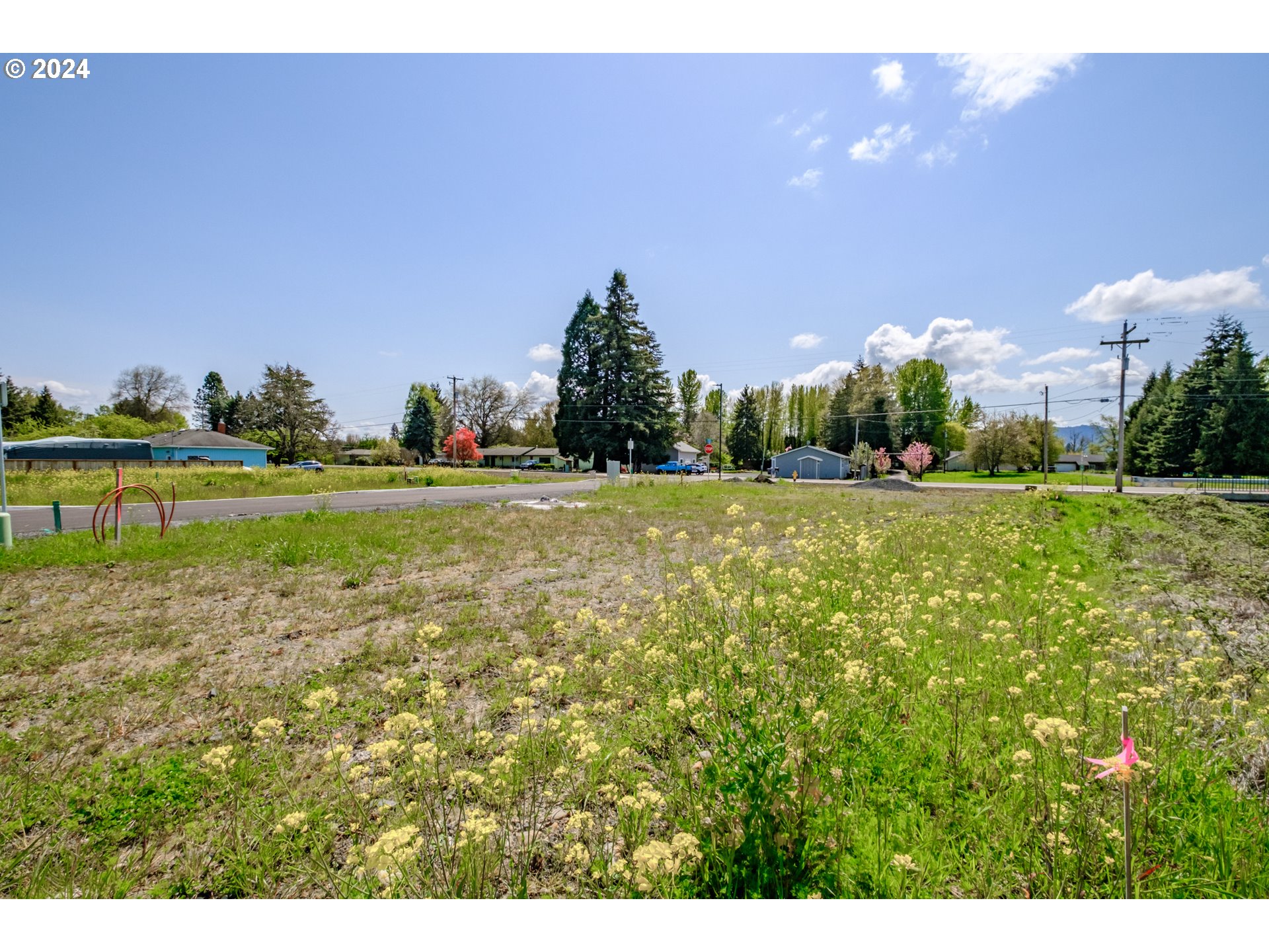 Lebanon, Oregon 97355, United States, ,Land,Active,77616