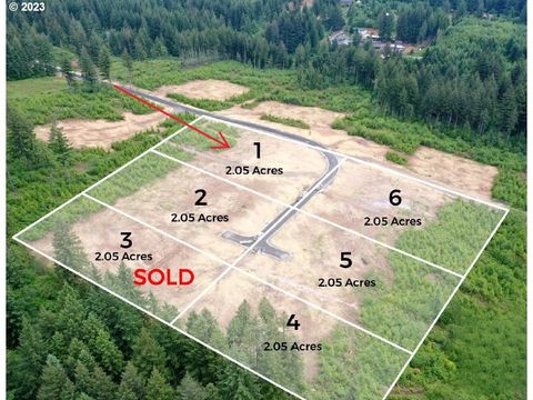Photo of NE 43rd Cir #Lot 1, Camas, WA 98607 (MLS # 23382461)