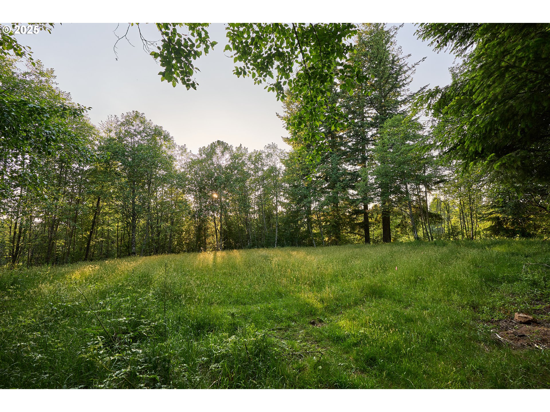 1641 MABEE MINES RD 2