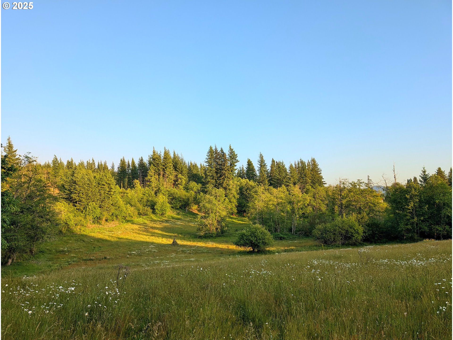 Photo 1 of 15 — 1781 MABEE MINES RD 2, Washougal, WA 98671
