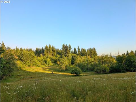 1641 MABEE MINES RD 2 Washougal WA 98671