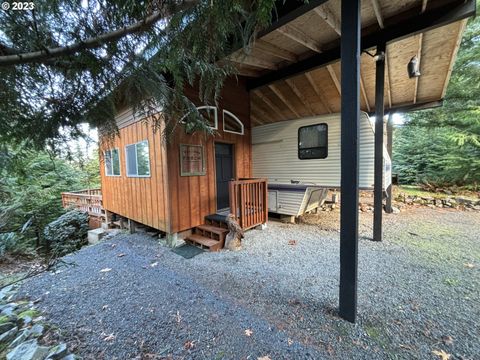 24706 NE Columbia Tie RD 11-9 Amboy WA 98601