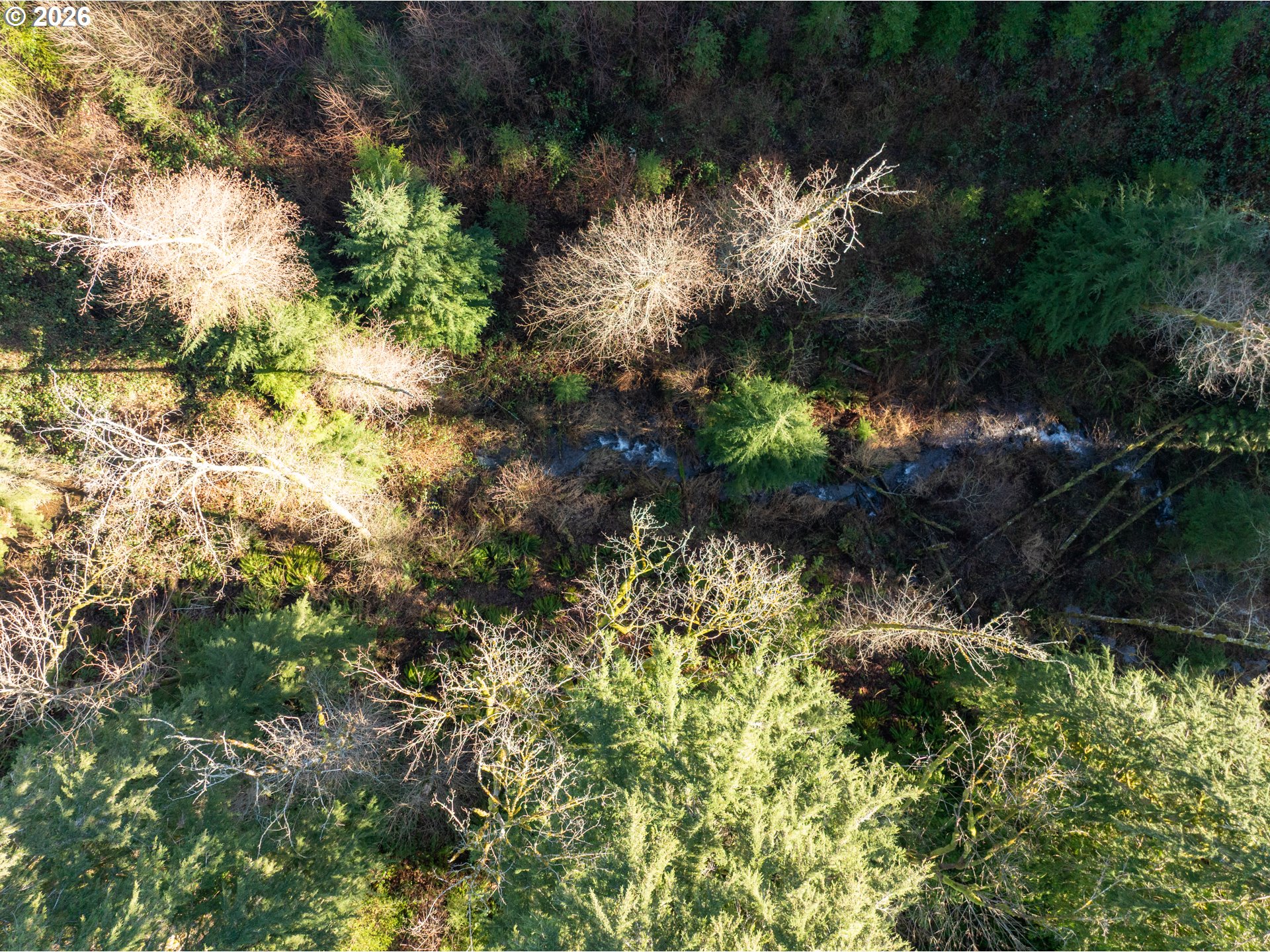 43902 NE COLUMBIA TIE RD