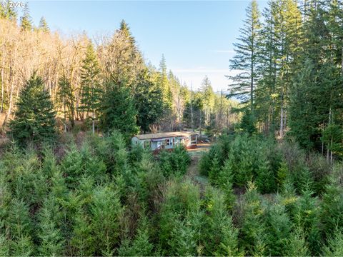 43902 NE COLUMBIA TIE RD Amboy WA 98601