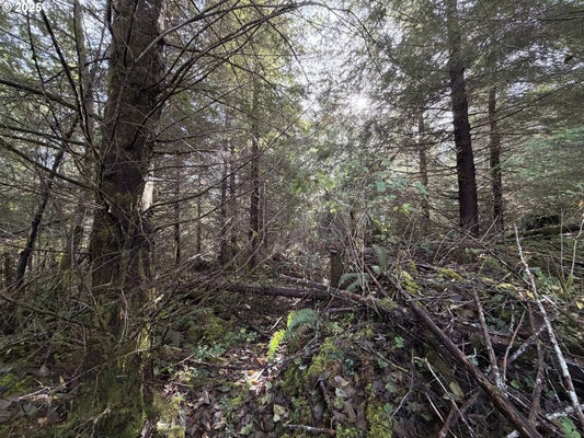 NECANICUM HWY, SEASIDE, OR 97138 - Image f4090d50d75273c95b2fad42cd64a607/3889011591