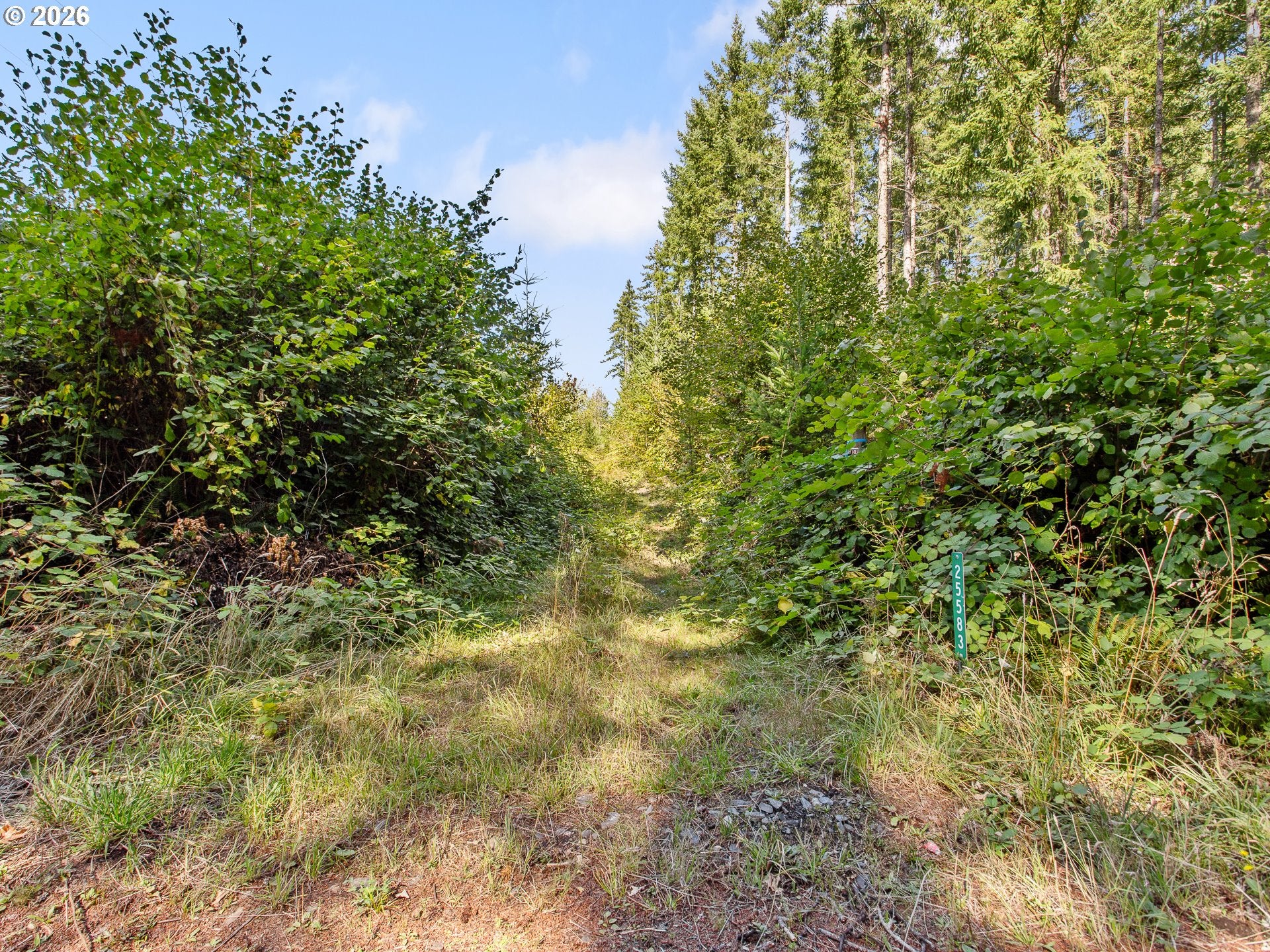 25583 S ELWOOD RD
