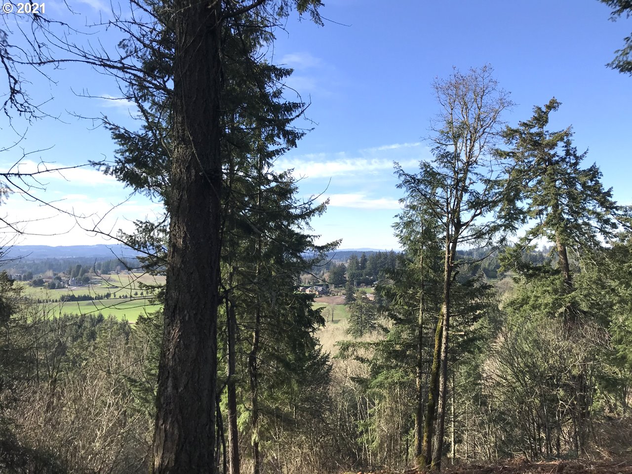 Mountain RD