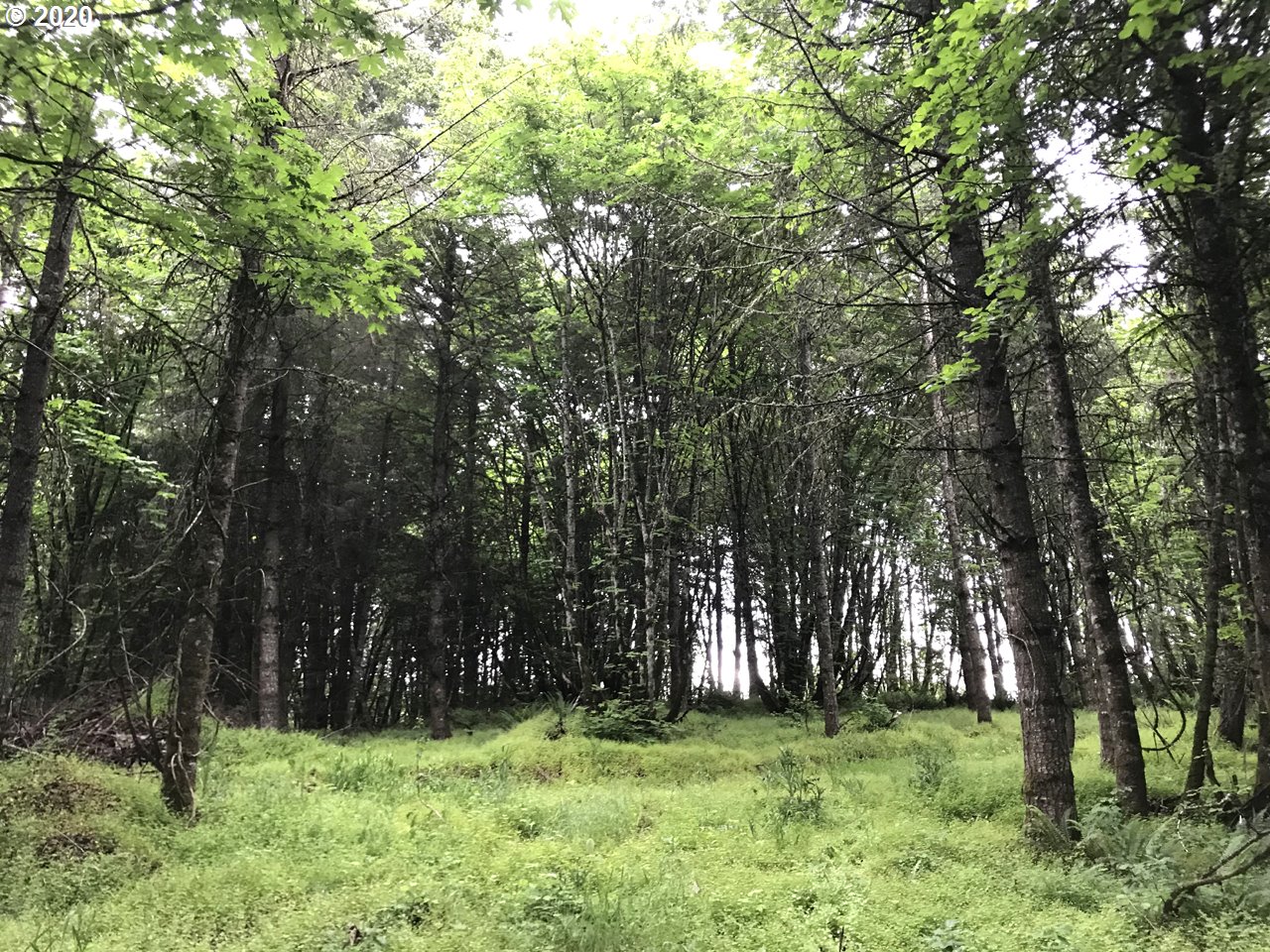 Mountain RD