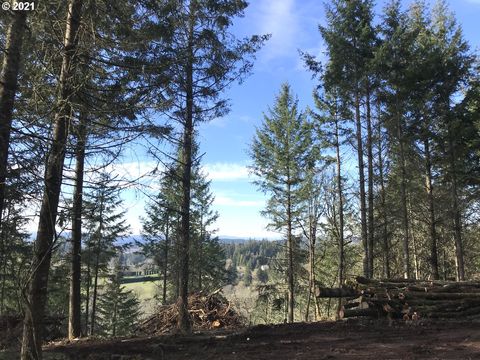 Mountain RD West Linn OR 97068