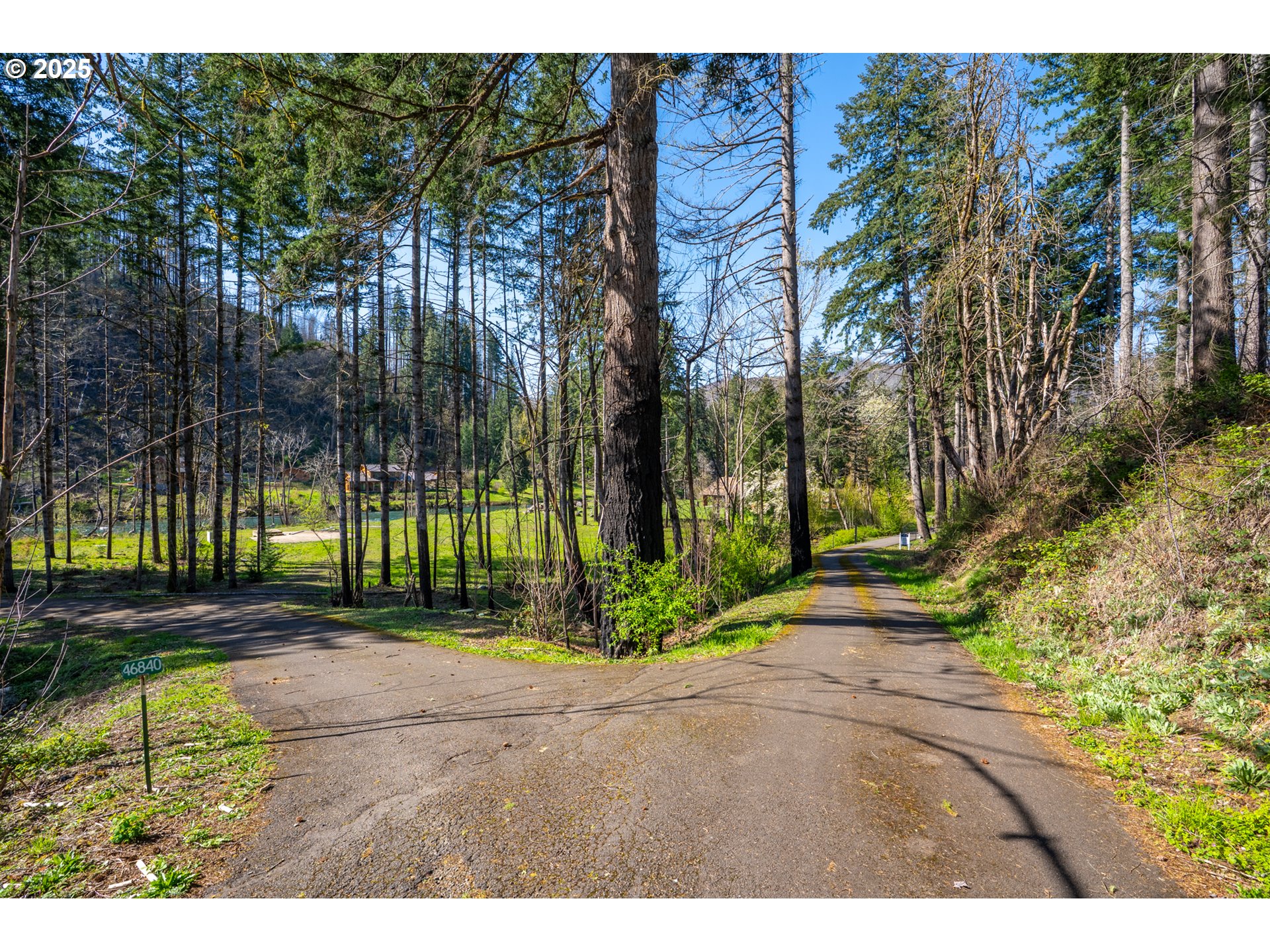 46836 MCKENZIE HWY