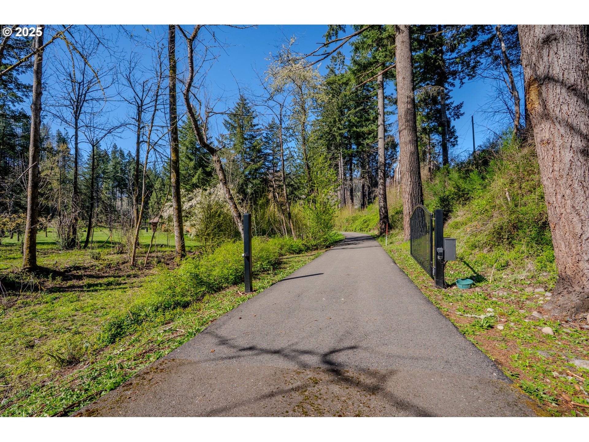 46836 MCKENZIE HWY